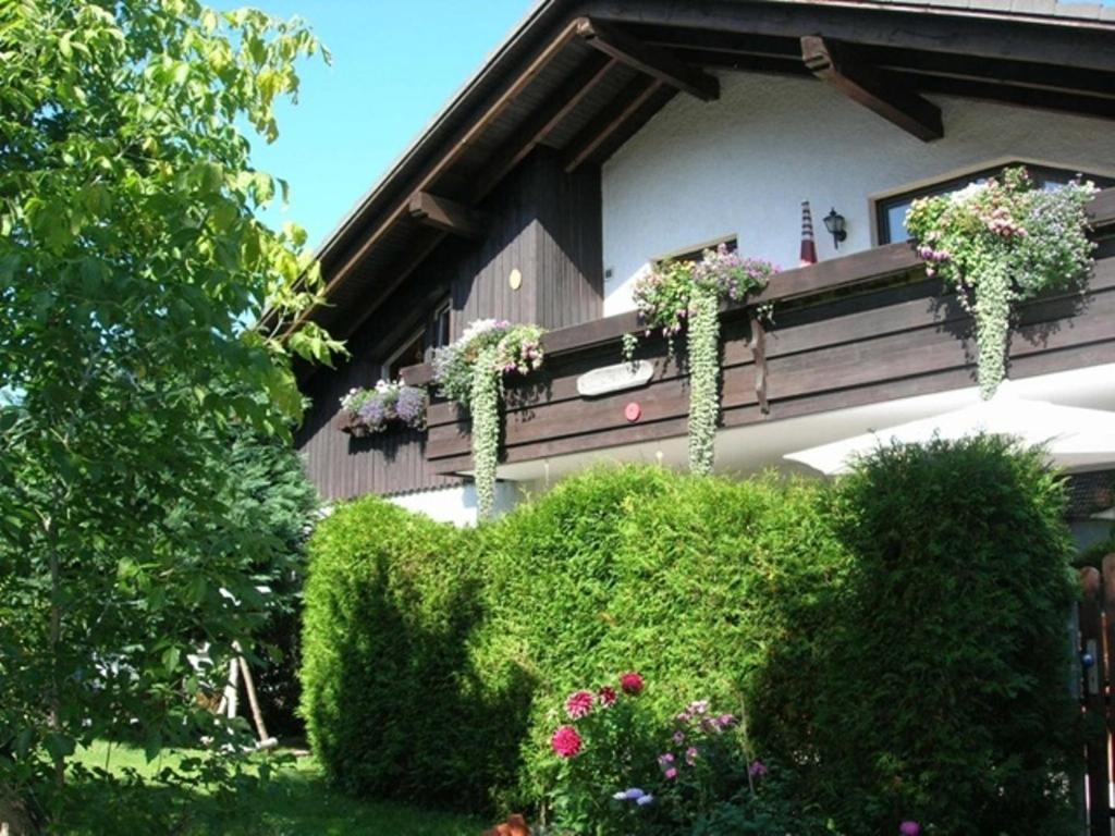 Harzhaus Rauch Apartment Braunlage Ruang foto